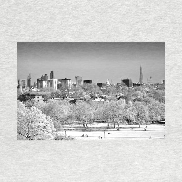 London Skyline Cityscape Primrose Hill by AndyEvansPhotos